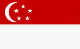 Intl Training  Singapore flag