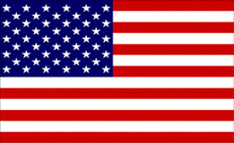 Intl Training USA flag
