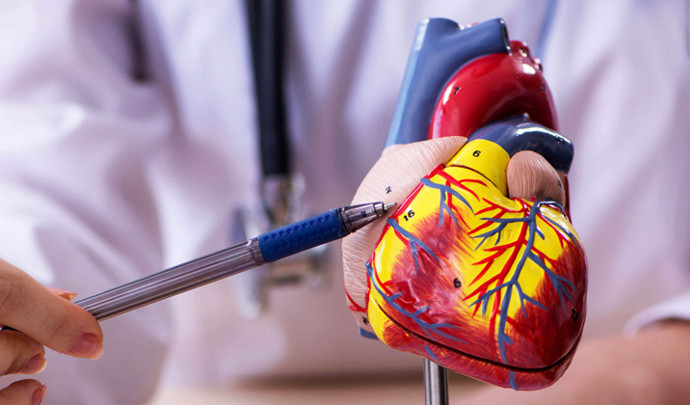 Cardiac PET