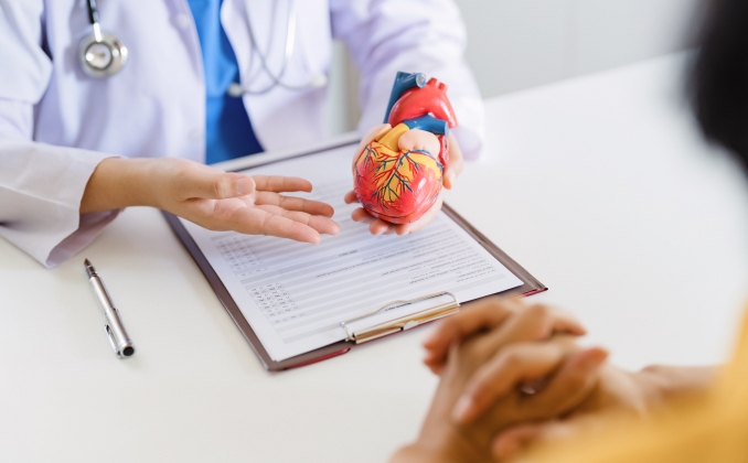 Heart health consultation with a specialist discussing treatment options