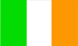 Intl Training Ireland flag