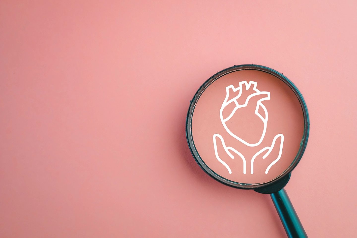 Magnifying glass on a heart illustration, representing heart screening tests