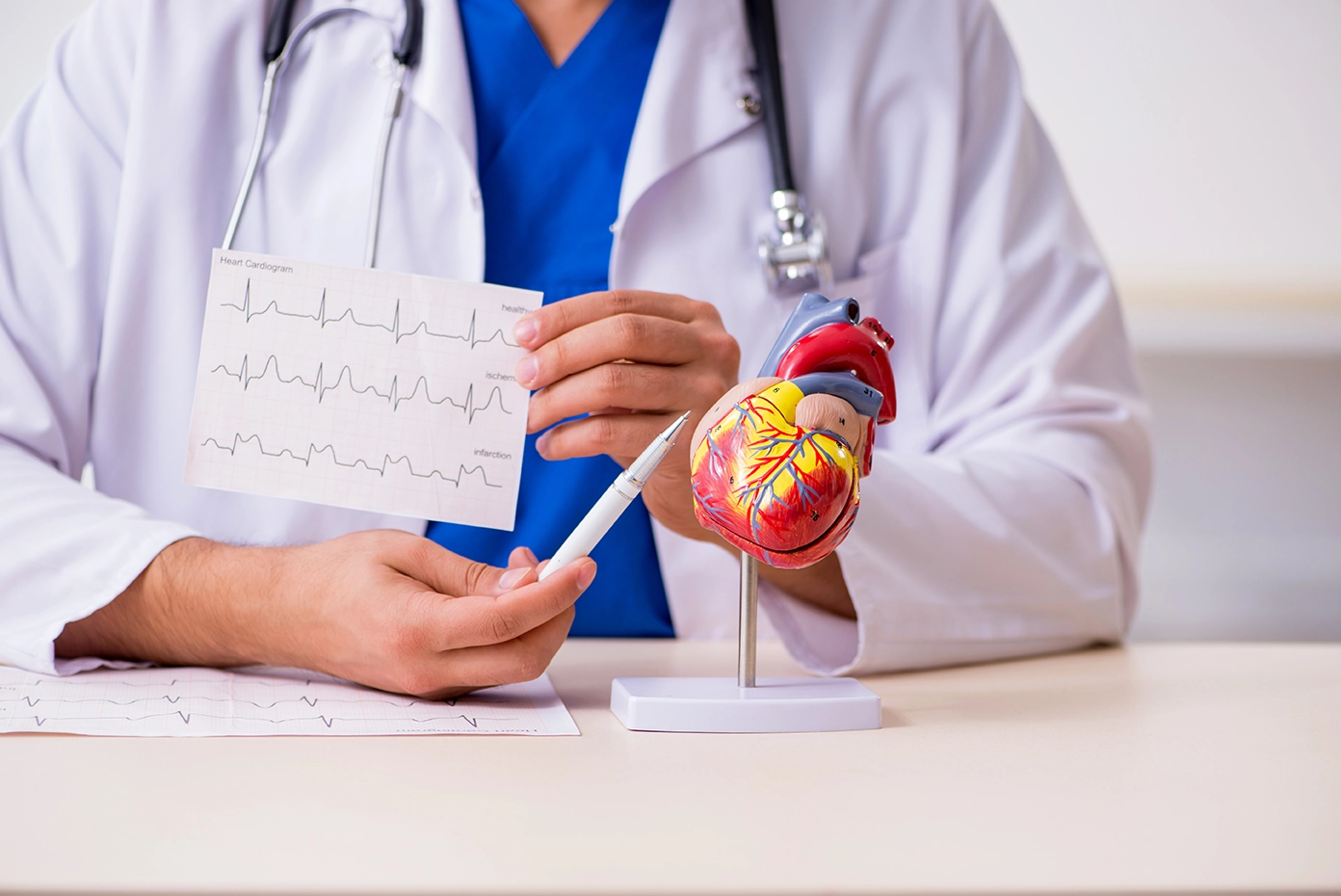 Cardiologist pointing at an anatomical heart