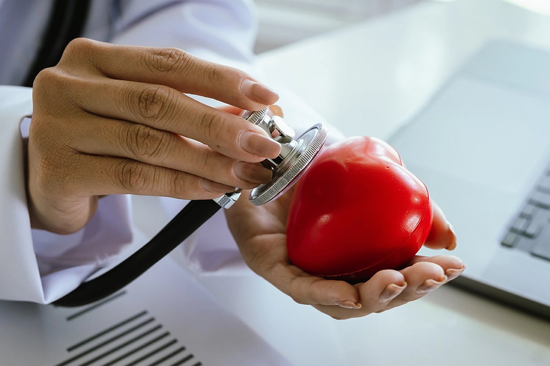 A heart doctor holding a model of a heart